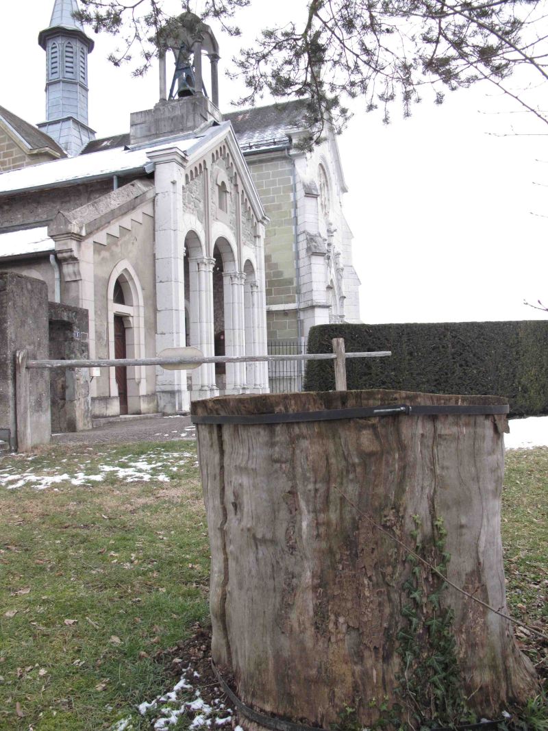 Tilleul de Notre-Dame de l'Aumône - 1/5