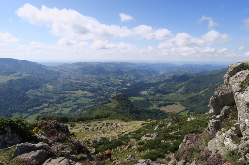 Image 4 : Vallées de la Jordanne depuis les crêtes du GR400 (entre Saint-Projet-de-Salers et Mandailles-Saint-Julien)