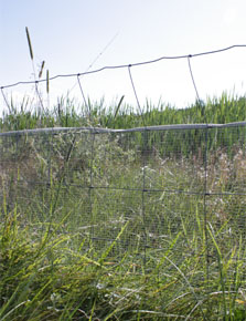 Clôture à maille fine