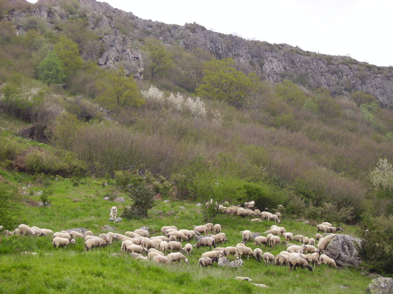 Le rocher de la Jaquette Le rocher de la Jaquette
