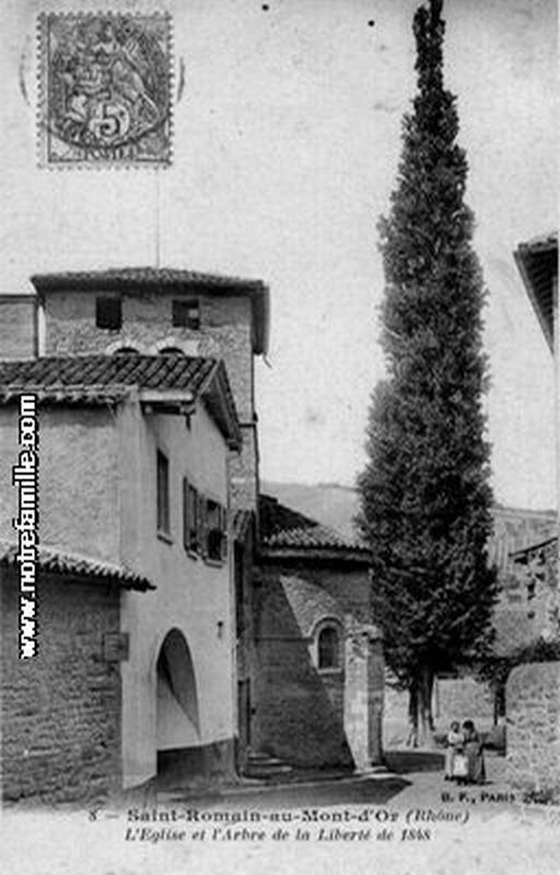 Arbre de la Liberte a Saint Romain au Mont D Or 1