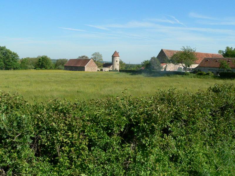 Chateau de La Guerche 1