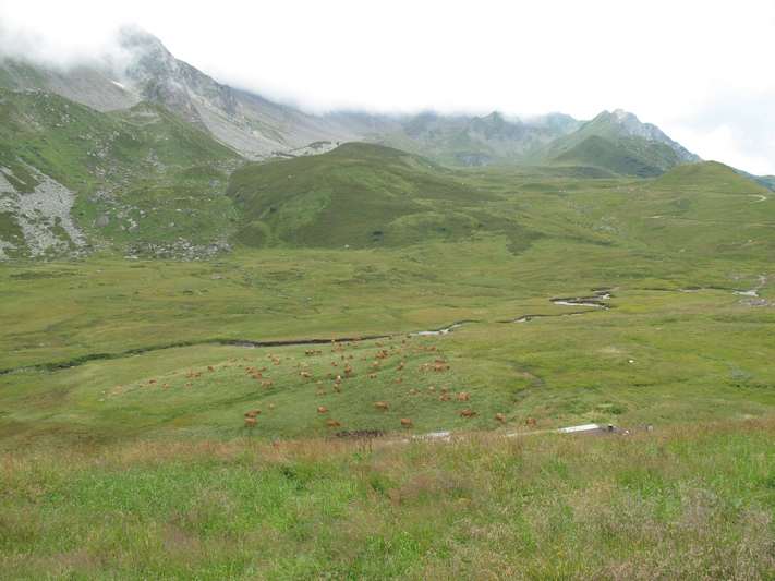 Col du Cormet de Roselend Gollet du Cormet de Roselend 1