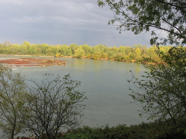 Confluent de l’Ain et du Rhone 1