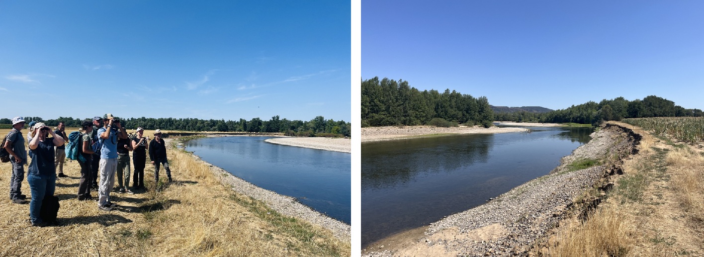 La dynamique fluviale active en bordure de la rivière Allier