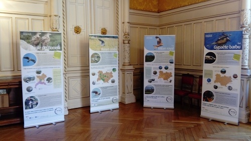 Exemples de posters de l'exposition PNA AuRA