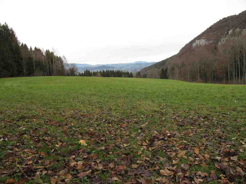 Foret communale et vallon de Sainte Catherine 1