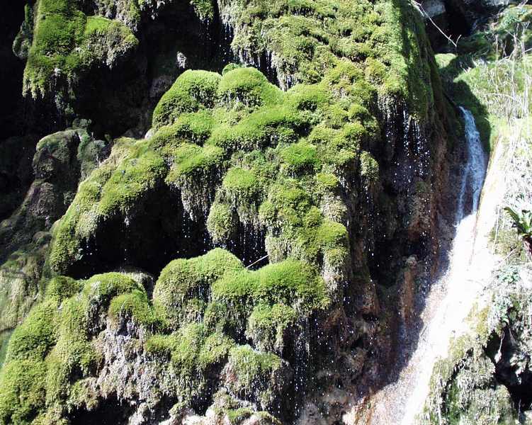 Gorges d Ombleze et cascade de la Druise 1