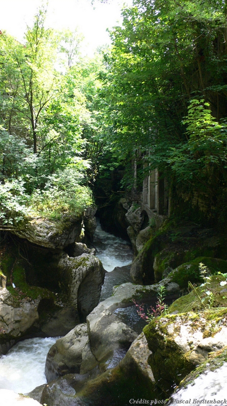 Gorges du Sierroz 1