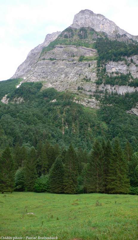 Grotte de l Ermoy 1