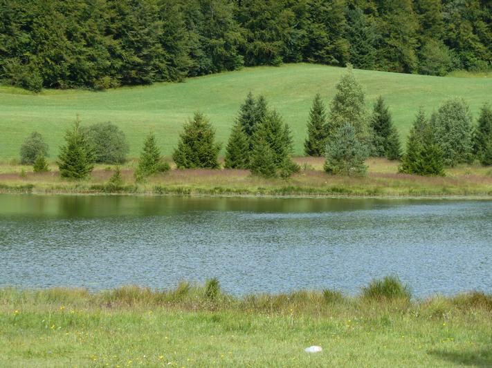 Lac Genin 1