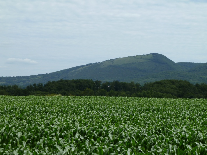 Mont Myon et ses abords 1