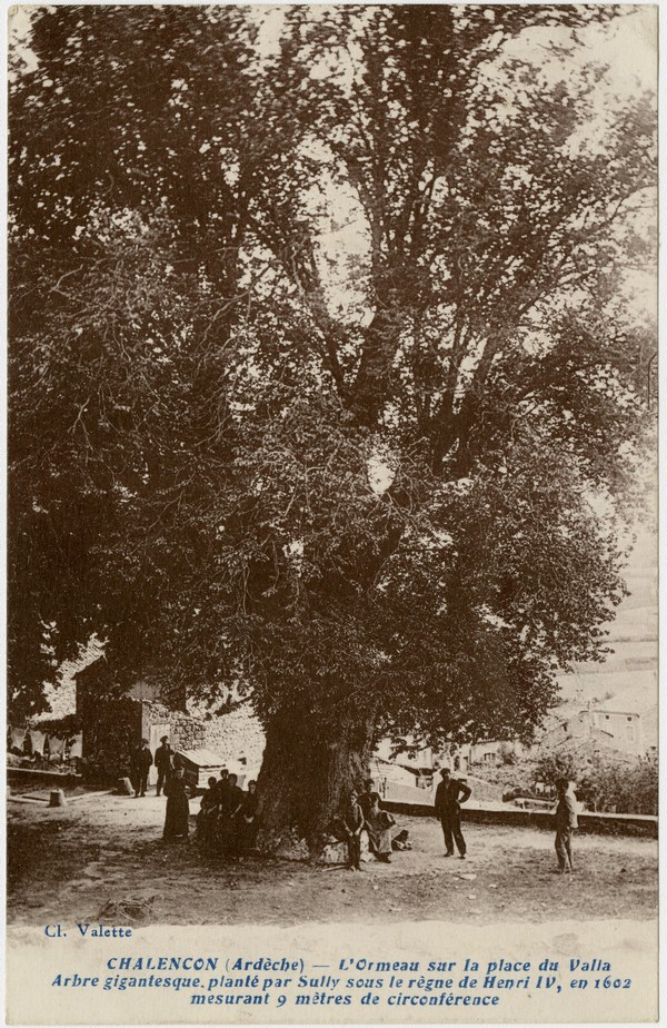 Ormeau de Chalencon 1
