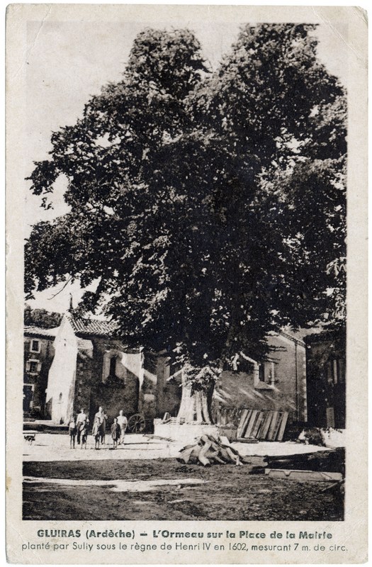 Ormeau de Gluiras 2