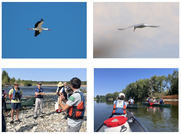 Echanges et observations au fil de l'eau