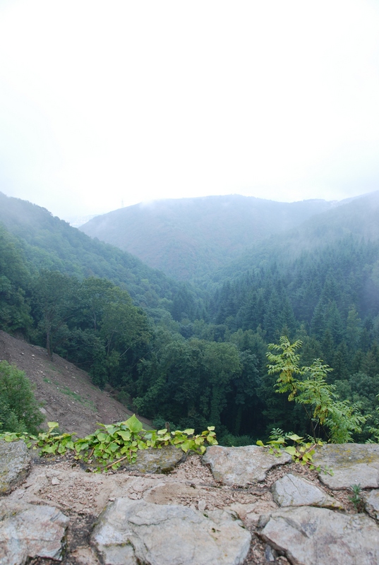 Ruines du chateau de Rochetaillee 6