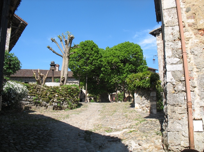 Tilleul de Perouges 1