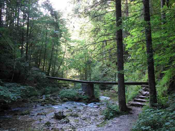 Vallon du Bruyant 1