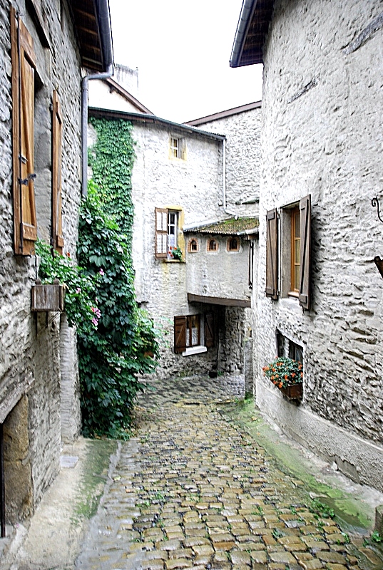 Vieux Dargoire 1