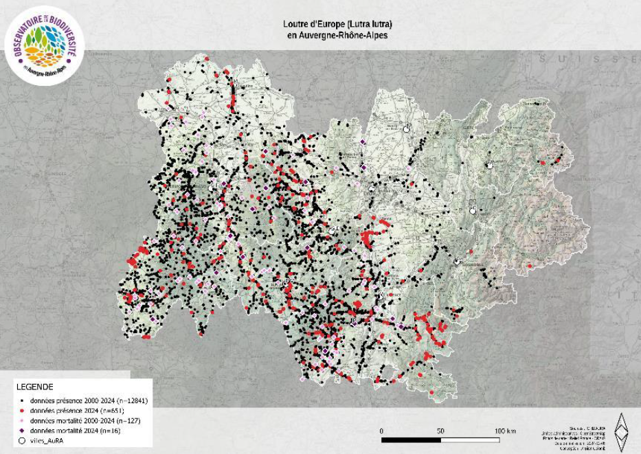 Carte de répartition régionale de la Loutre en 2024