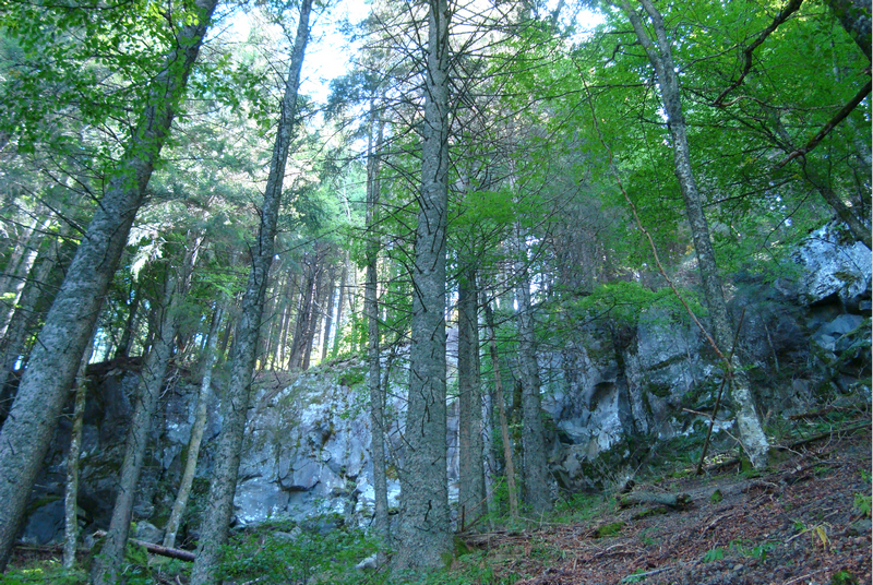 Cratere et bois de Montchal 1
